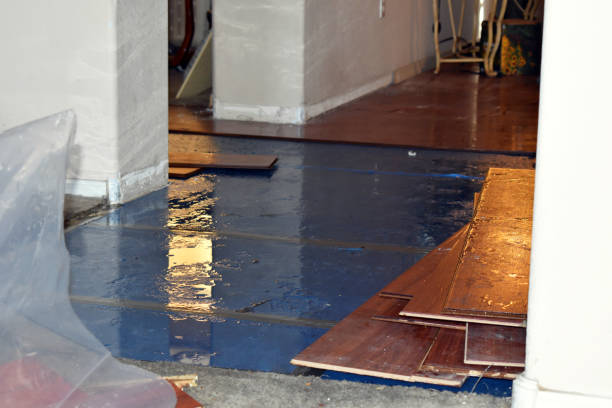 Professional Water Extraction technician working in Honeyville, UT